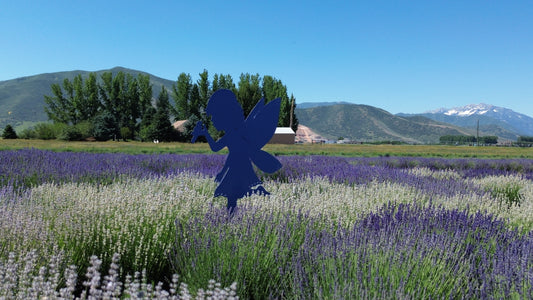 Blue Canyon Farm Photography Scheduling